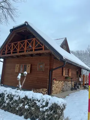 a log cabin with snow on the roof at Brunarica Dežno in Makole