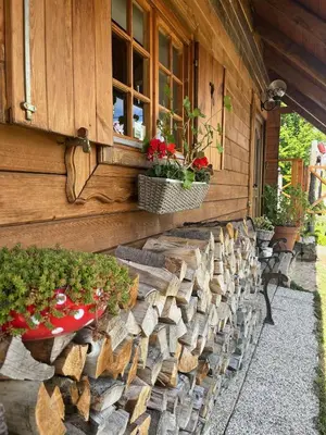 a house with plants on the side of it at Brunarica Dežno in Makole