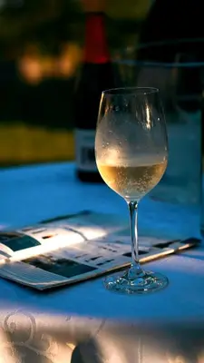 a glass of white wine sitting on top of a table at Apartment with a view in Dobravlje