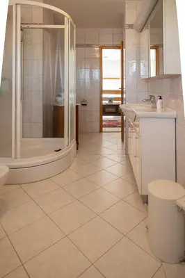 a bathroom with a shower and a sink and a toilet at Premium house Anika in Rogaška Slatina