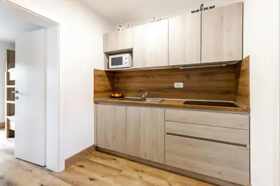 a kitchen with a sink and a microwave at Apartment Tina - Lipa 33 in Podčetrtek