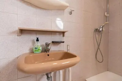 a bathroom with a sink and a shower at Apartments Dominika Štros in Bohinj