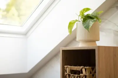 a plant sitting on top of a wooden book shelf at Forest Breeze Apartments in Blejska Dobrava
