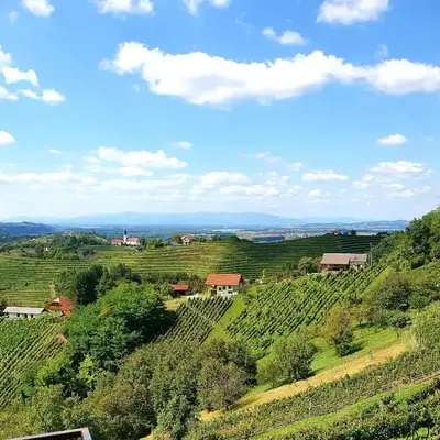 TRUTH WINES HOUSE
