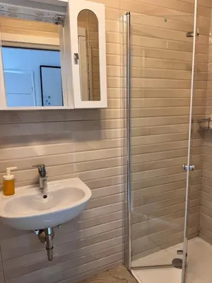 a bathroom with a sink and a shower at Ljubljana rest nest in Ljubljana