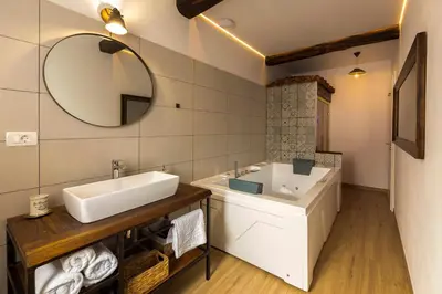 a bathroom with a sink and a mirror at Brkinka Apartments in Vremski Britof