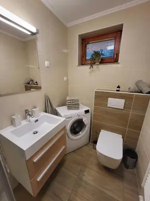 a bathroom with a washing machine and a sink at Rogla apartma Rdeča kapica in Vitanje