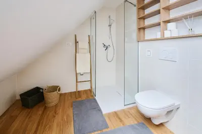 a bathroom with a toilet and a shower at Mozirje Comfort Apartments in Mozirje