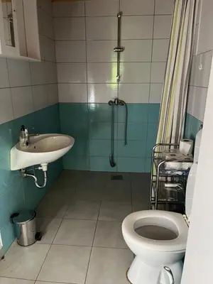 a bathroom with a toilet and a sink and a shower at Cottage Žirovnica in Žirovnica