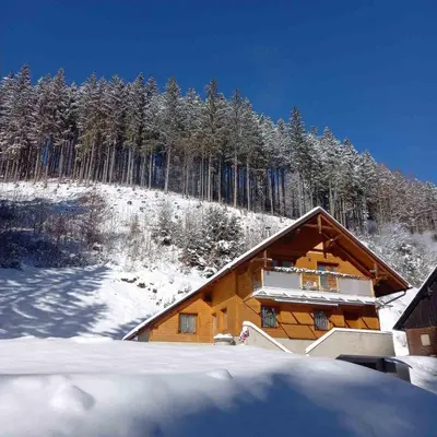 a log cabin in the snow with trees at Hiša Lunna - Apartments in a Forest Paradise in Vitanje