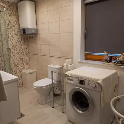 a bathroom with a washing machine and a toilet at Hiša Lunna - Apartments in a Forest Paradise in Vitanje
