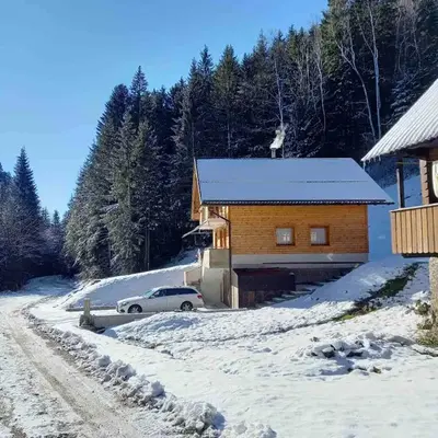Hiša Lunna - Apartments in a Forest Paradise