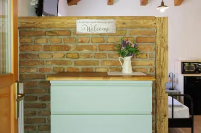 a brick wall with a table with a vase of flowers at Zelkonn House in Branik