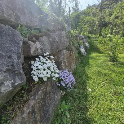 a retaining wall with purple and white flowers at Zelkonn House in Branik