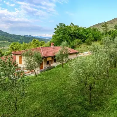 Zelkonn House