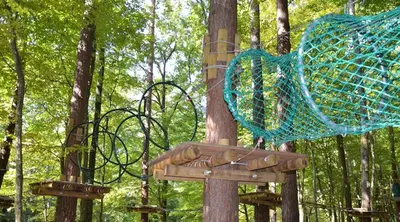 a playground with a net on a tree at Goričko view house in Križevci