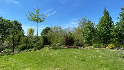 a large grassy field with trees and bushes at Goričko view house in Križevci
