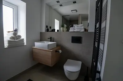 a bathroom with a toilet and a sink and a mirror at Residence Black&White in Ljubljana