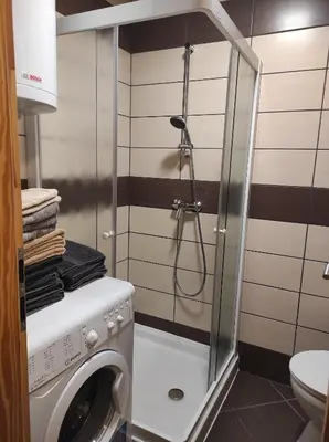 a washing machine in a bathroom with a shower at Holiday home by the emerald river in Soča