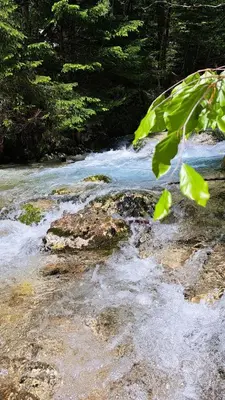 a river with water rushing over rocks and trees at Holiday home by the emerald river in Soča