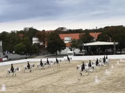 a group of people riding horses on a track at Apartma Ježevi in Sežana