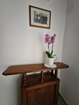 a table with a vase with a flower on it at Apartma Ježevi in Sežana