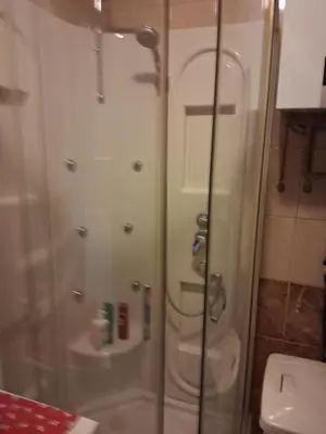 a bathroom with a shower and a toilet at Apartma Cipresa in Rogatec