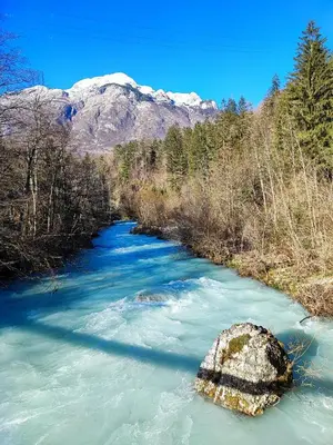 a river with a rock in the middle of it at Apartma Mirko in Bovec