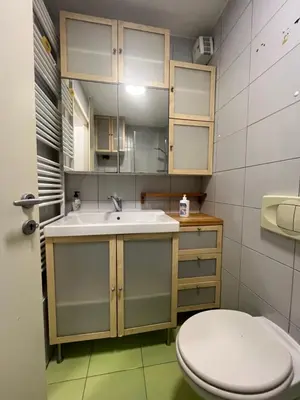 a bathroom with a sink and a toilet at Oasis Atrium Apartment with free parking in Ljubljana