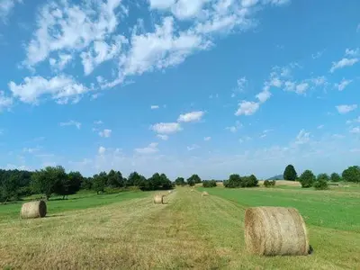 a group of hay bales in a field at Apartma Mihatovi in Pivka