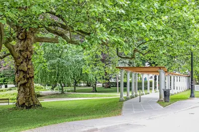 a park with a tree and a wooden canopy at Apartma Marija - Terme Dobrna in Dobrna