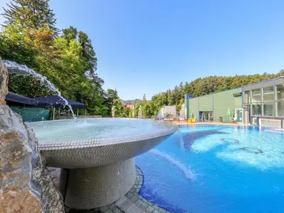a large swimming pool with a water fountain at Apartma Marija - Terme Dobrna in Dobrna