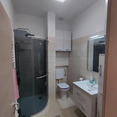 a bathroom with a shower and a toilet and a sink at Casa Rosmarin in Spodnje Škofije