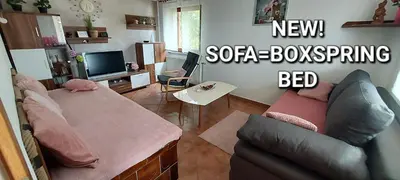 a living room with a couch and a tv at Hiška Tilia in Loče pri Poljčanah