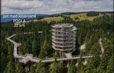 a tall building in the middle of a forest at Hiška Tilia in Loče pri Poljčanah