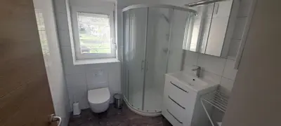 a bathroom with a shower and a toilet and a sink at Apartments Valdi in Tolmin
