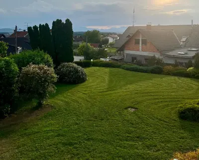 a yard with green grass and a house at Hiša TRELC- sobe in Komenda