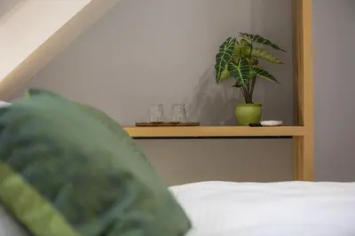 a shelf with glasses and a potted plant on a bed at Hiša TRELC- sobe in Komenda
