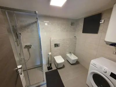 a bathroom with a shower and a toilet and a sink at Apartment Ledince in Most na Soči