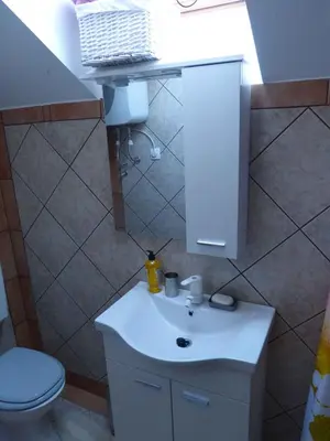 a bathroom with a white sink and a toilet at Holiday home in Dragatus - Kranjska (Krain) 50798 in Dragatuš