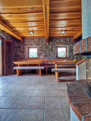 a room with wooden ceilings and wooden benches at Vineyard cottage Kralj in Uršna Sela