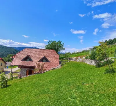 a house on a hill with a green yard at Vineyard cottage Kralj in Uršna Sela