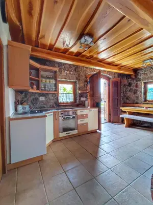 a kitchen with white appliances and a wooden ceiling at Vineyard cottage Kralj in Uršna Sela