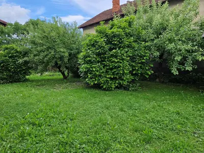a yard with two trees and a house at GreenFamilyAppartment near Ljubljana in Domžale