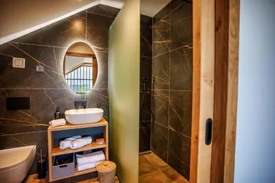 a bathroom with a sink and a mirror at Tourist Farm HOTEL FROST in Maribor