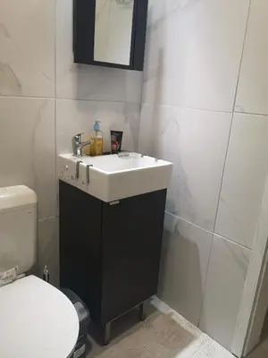 a bathroom with a sink and a toilet at apartma Lesnik Vila Ziba in Bohinj