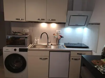 a kitchen with a sink and a washing machine at apartma Lesnik Vila Ziba in Bohinj