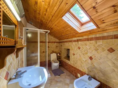 a bathroom with a toilet and a sink and a skylight at Apartma Maln in Kobarid