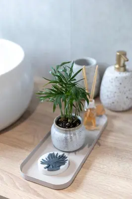 a potted plant sitting on a tray on a table at Midnight Villa in Cerkvenjak