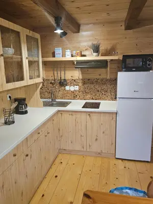 a kitchen with a white refrigerator and wooden cabinets at Cottage Ladybug in Mojstrana